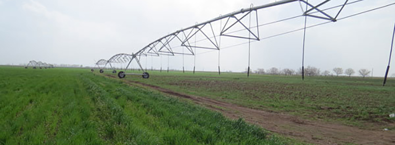  صرفه جویی   ۱۰۲میلیون متر مکعبی آب کشاورزی 